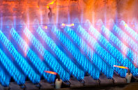 Bradfield Combust gas fired boilers